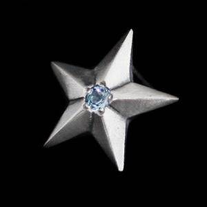 Rock and Justice EDEN - Shining Star Pierce - EDEN ROCK STORE