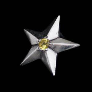 Rock and Justice EDEN - Shining Star Pierce - EDEN ROCK STORE